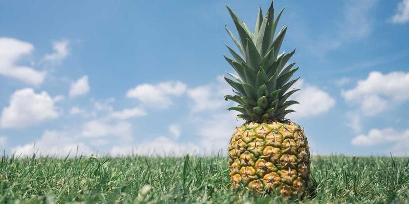 Hot & New: The Best AI Tools Launched in 2024